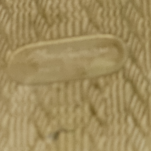 Gold Scalloped Edge Compact Mirror,ELGIN AMERICAN ,USA,STAMPED - Picture 3 of 11